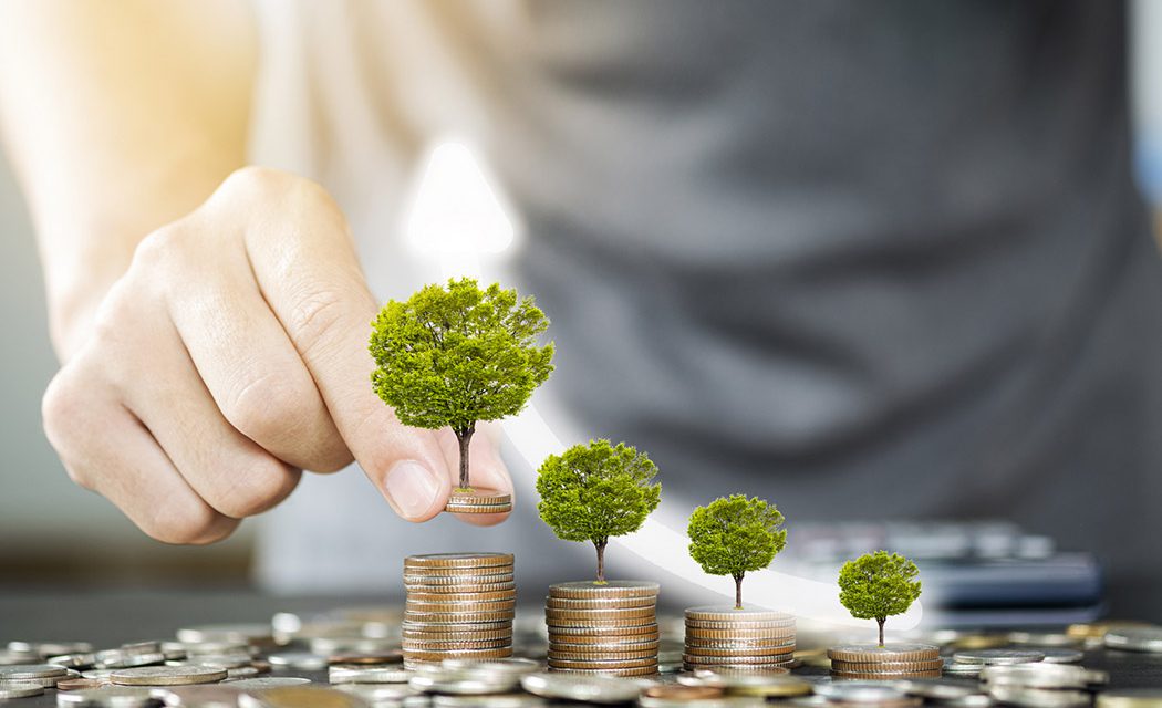 Procurement for Financial Services - Man Staking Quarters with Little Trees on Them