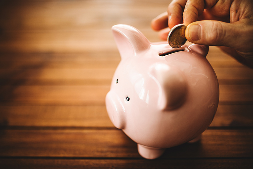 Pink Pig Coin Bank