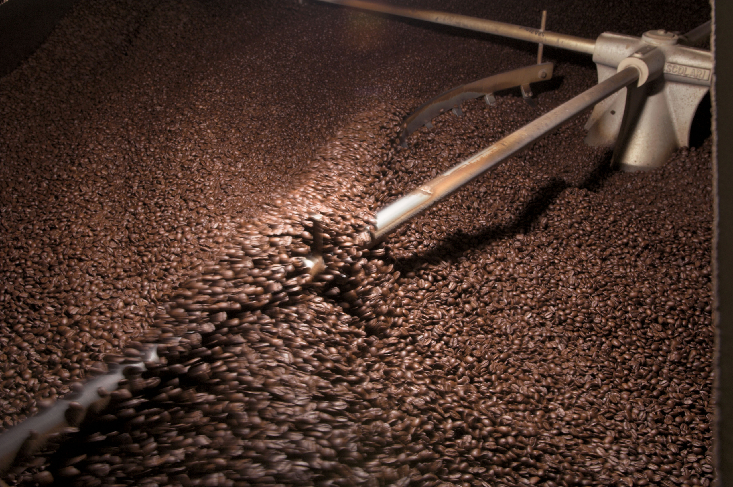 coffee roaster full of beans